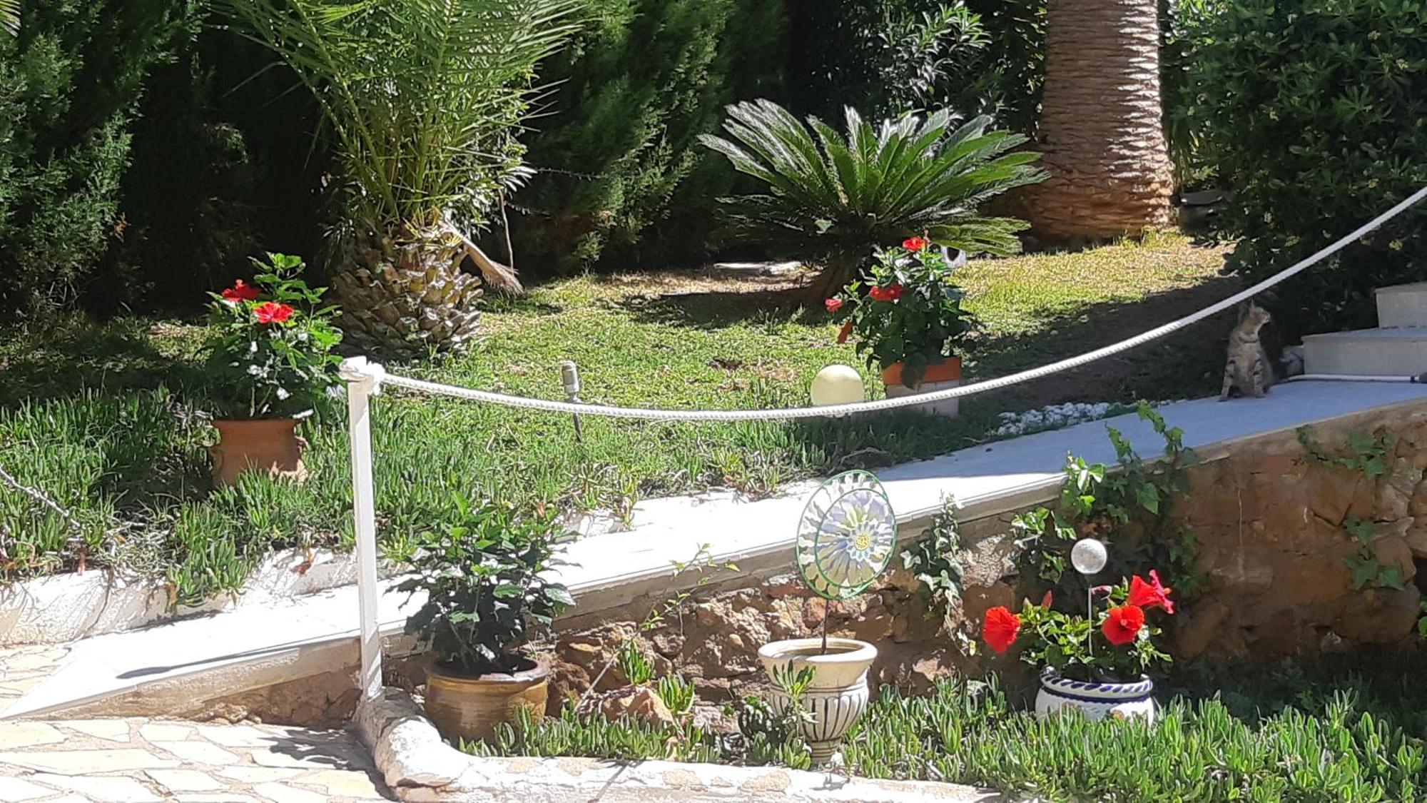 Ferienwohnung Mit Privat-Pool Alcossebre Buitenkant foto