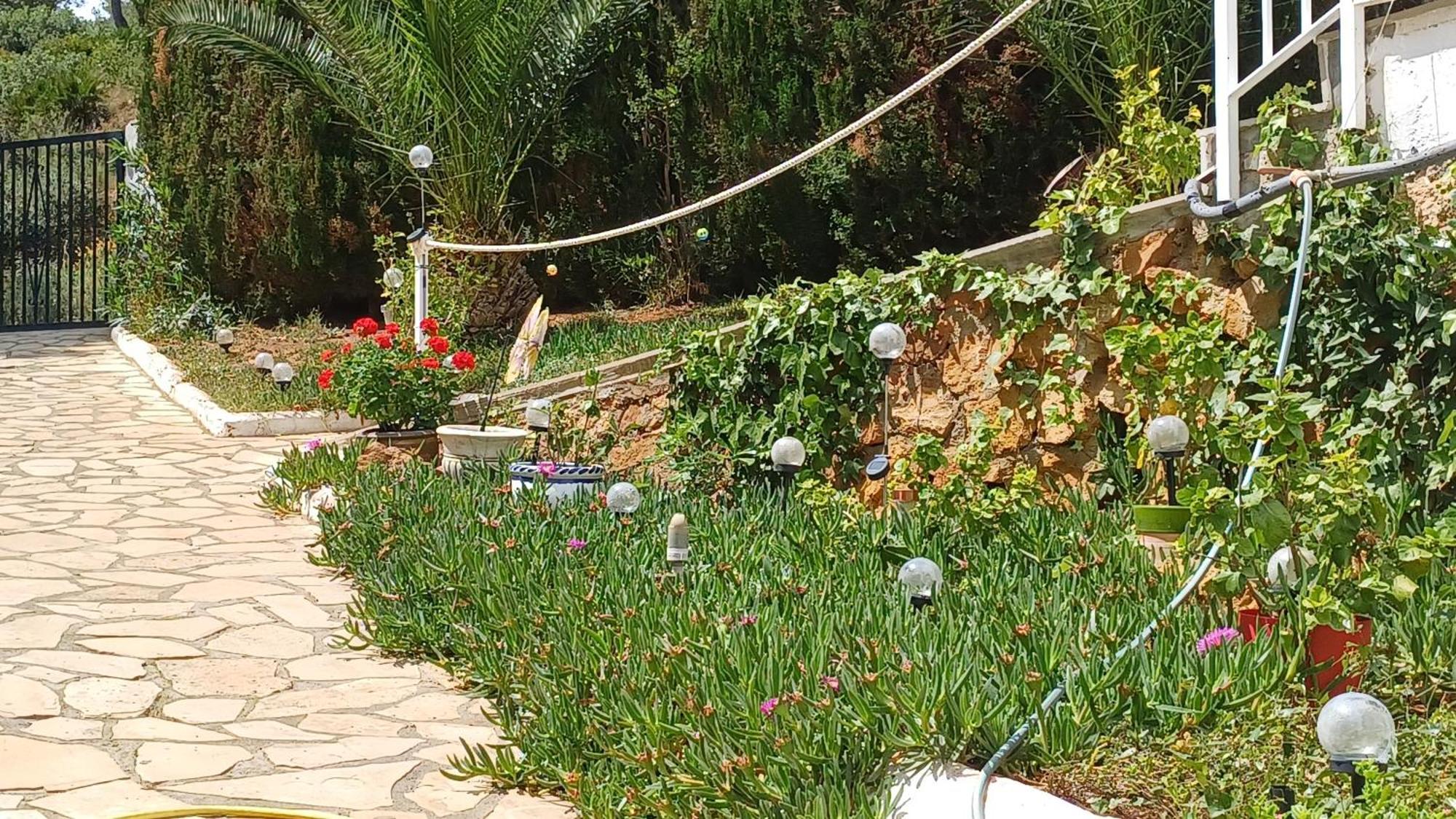 Ferienwohnung Mit Privat-Pool Alcossebre Buitenkant foto