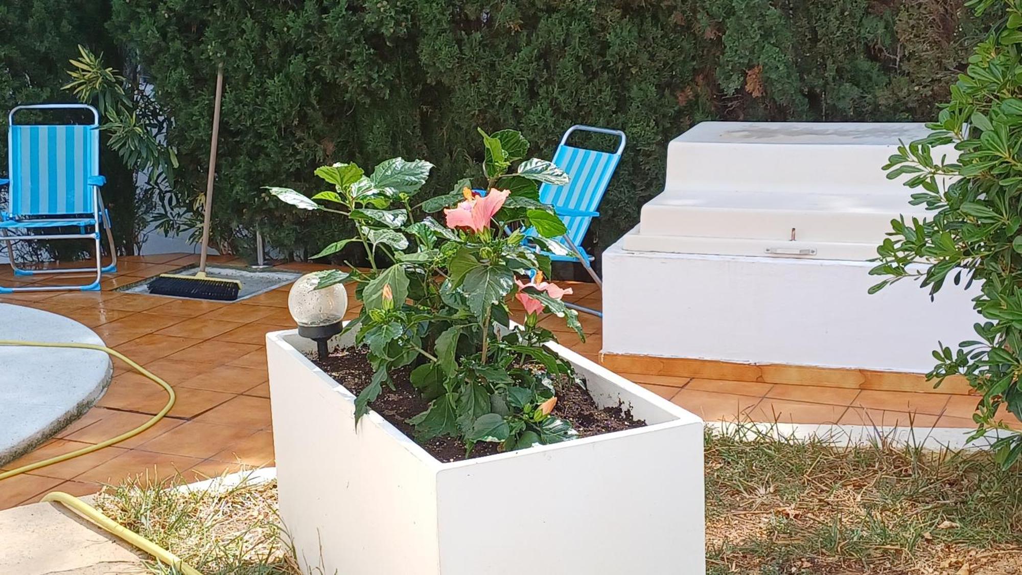 Ferienwohnung Mit Privat-Pool Alcossebre Buitenkant foto